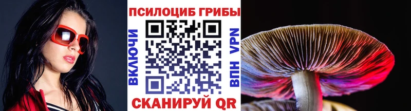 Псилоцибиновые грибы мухоморы где купить наркотик Конаково