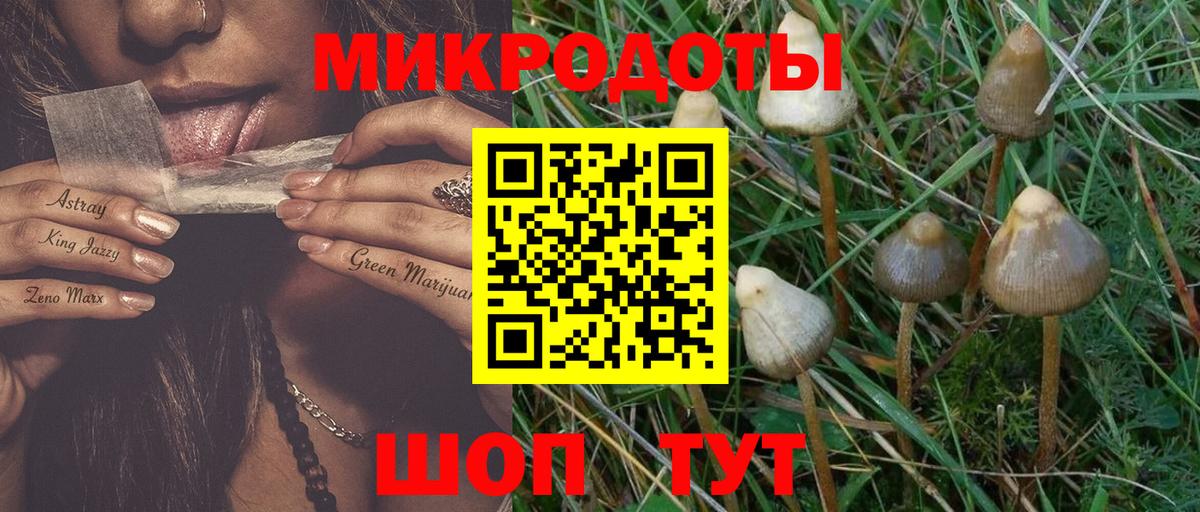 Псилоцибиновые грибы прущие грибы  наркошоп  Конаково  Вход с VPN 