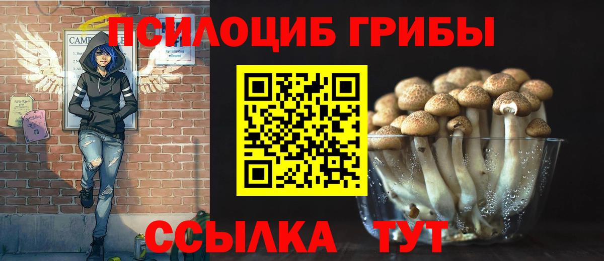 Галлюциногенные грибы MAGIC MUSHROOMS Конаково